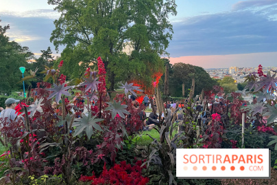 Festival Silhouette au parc de la Butte du Chapeau Rouge - image00005