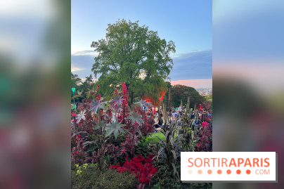 Festival Silhouette au parc de la Butte du Chapeau Rouge - image00006
