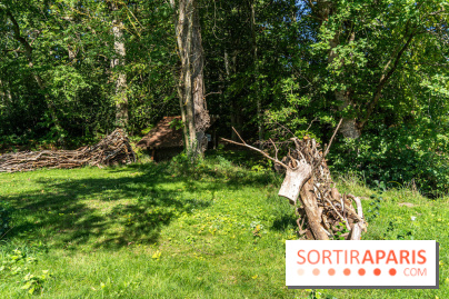 Folies lavoirs, les lavoirs des Yvelines et de la Vallée de Chevreuse accueillent l'art contemporain -  A7C0208