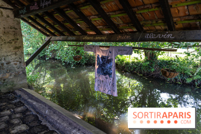 Folies lavoirs, les lavoirs des Yvelines et de la Vallée de Chevreuse accueillent l'art contemporain -  A7C0291