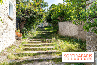 Village de Rochefort en Yvelines -  A7C0261