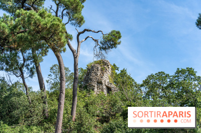 Village de Rochefort en Yvelines -  A7C0275