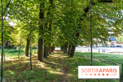 Village de Dampierre en Yvelines  -  A7C0153