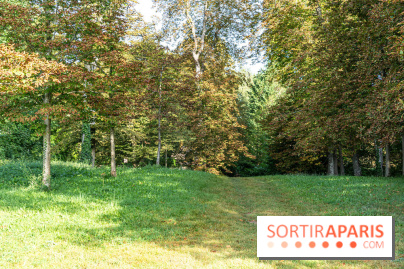 Village de Dampierre en Yvelines  -  A7C0145