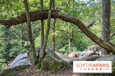 Les Vaux de Cernay en Vallée de Chevreuse - Cernay-la-Ville