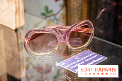 Domaine de Jean-Claude Brialy à Monthyon lunettes joséphine baker