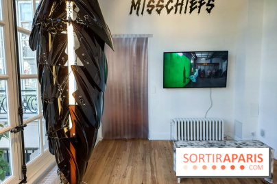 FINE DYING par Misschiefs, nos photos - 20230907 123302