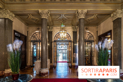 La Fondation Simone et Cino Del Duca - Hôtel Emile Pereire -  A7C0582