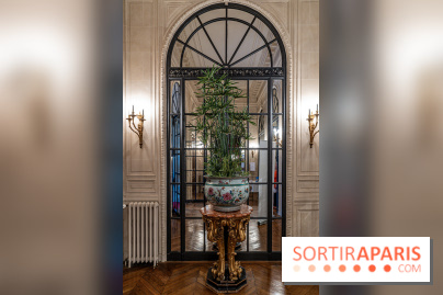 La Fondation Simone et Cino Del Duca - Hôtel Emile Pereire -  A7C0616