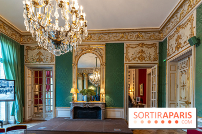 La Fondation Simone et Cino Del Duca - Hôtel Emile Pereire -  A7C0591