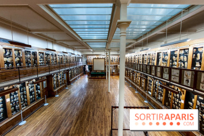 Musée des Moulages à Paris, nos photos - 20230905 120305