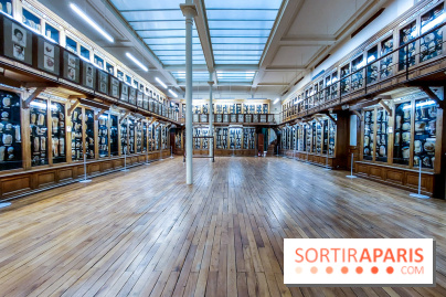 Musée des Moulages à Paris, nos photos - 20230905 121312