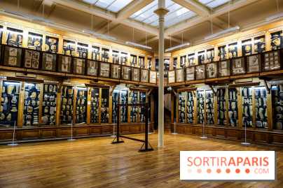 Musée des Moulages à Paris, nos photos - IMG 0812