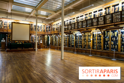 Musée des Moulages à Paris, nos photos - IMG 0814