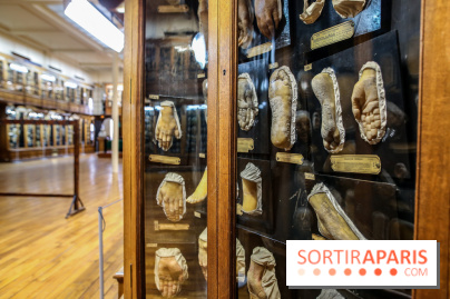 Musée des Moulages à Paris, nos photos - IMG 0816