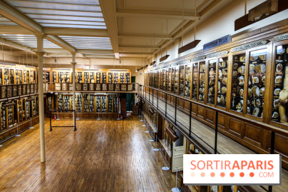 Musée des Moulages à Paris, nos photos - IMG 0826