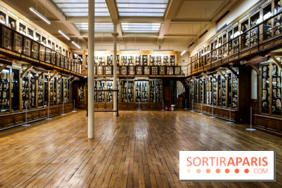 Musée des Moulages à Paris, nos photos - IMG 0843