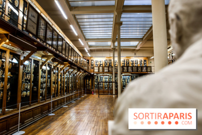 Musée des Moulages à Paris, nos photos - IMG 0845