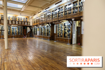 Musée des Moulages à Paris, nos photos - IMG 0847