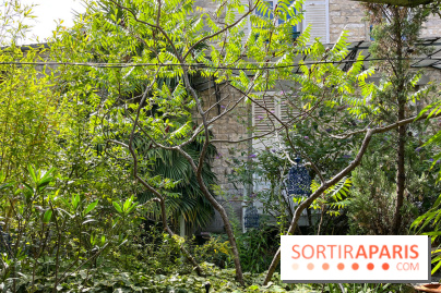 Le Petit Cormier, Montigny-sur-Loing - image00012