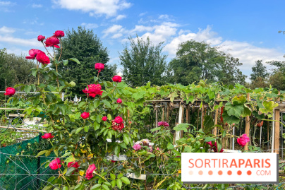 Le Grand Parc des Docks, à Saint-Ouen - image00223