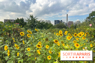 Le Grand Parc des Docks, à Saint-Ouen - image00219
