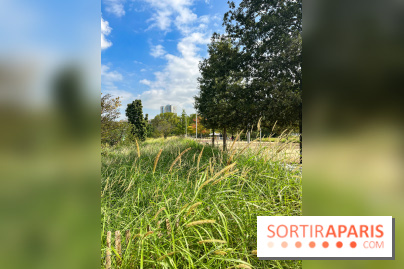 Le Grand Parc des Docks, à Saint-Ouen - image00200