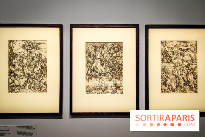 Trésors en noir et blanc, l'exposition des grands maîtres de l'estampe au Petit Palais - nos photos