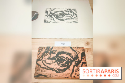 Trésors en noir et blanc, l'exposition des grands maîtres de l'estampe au Petit Palais - nos photos