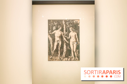 Trésors en noir et blanc, l'exposition des grands maîtres de l'estampe au Petit Palais - nos photos