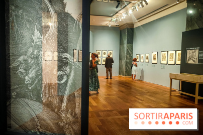 Trésors en noir et blanc, l'exposition des grands maîtres de l'estampe au Petit Palais - nos photos