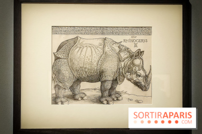 Trésors en noir et blanc, l'exposition des grands maîtres de l'estampe au Petit Palais - nos photos