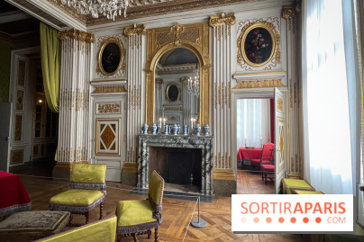 Hôtel de Sully - IMG 8828