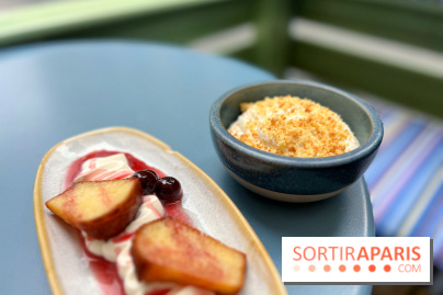 Il Cuoco Galante - Mousse coco