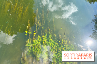 Motigny-sur-Loing - image00232