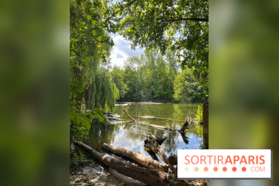 Motigny-sur-Loing - image00225