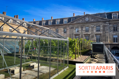 Vignoble Hôtel de Ville