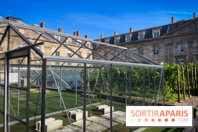 Vignoble Hôtel de Ville
