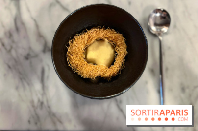 Tracé, Clément Vergeat - Nid d'oeufs de poissons