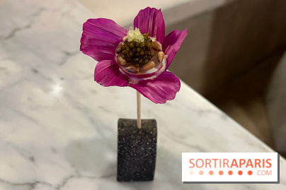 Tracé, Clément Vergeat - Fleur radis caviar