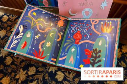 Calendrier de l'Avent 2023 Dammann Frères  - 4418C586 1E24 4D39 A3D7 58E4C991507F