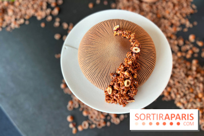 La Halle aux Grains - Bûche sarrasin noisette 2023