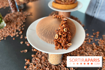 La Halle aux Grains - Bûche sarrasin noisette 2023