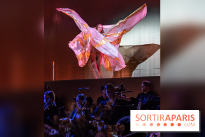 Gold Gala du Ritz, découvrez les photos de la soirée des 125 ans -  A7C1031