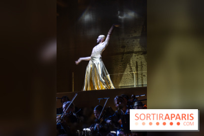 Gold Gala du Ritz, découvrez les photos de la soirée des 125 ans -  A7C0981