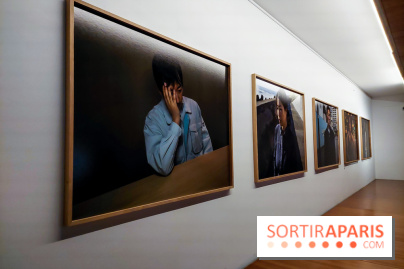 Portrait éphémère du Japon, nos photos de l'expo - 20230919 105356