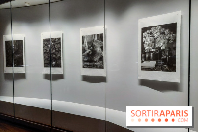 Portrait éphémère du Japon, nos photos de l'expo - 20230919 105652