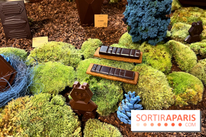 Alain Ducasse - Chocolats de Noël 2023 - 1C8D269F A4D5 4E19 A548 B3633784C155