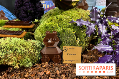 Alain Ducasse - Chocolats de Noël 2023 - 1D457CCD 35EE 42A9 B289 B94B4C0D8FC9