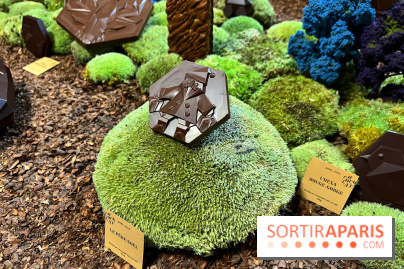 Alain Ducasse - Chocolats de Noël 2023 - 8BD9A8A5 B759 40A3 AD54 BDB4085896B4